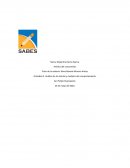 Análisis de las teorías y modelos del comportamiento