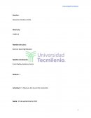 Actividad: C.- Objetivos del Desarrollo Sostenible