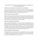 Reflexión sobre el tema de los Yaquis y su discriminación por ser un pueblo indígena