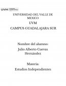 Estudios Independientes