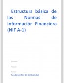 Estructura básica de las Normas de Información Financiera (NIF A-1)