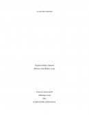 La mecedora artesanal