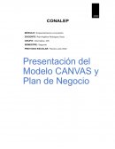 Plan de negocios de cepillos de bambu