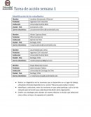 Contextos simples: el territorio de la mejor práctica