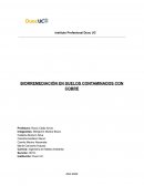 BIORREMEDIACIÓN EN SUELOS CONTAMINADOS CON COBRE