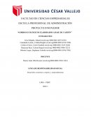 Gorros ecológicos elaborados a base de cartón