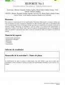 Plantilla reporte de laboratorio de MEI