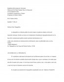 Informe Guía Tipográfica