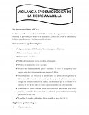 La fiebre amarilla en el Perú