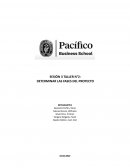 TALLER N°2: DETERMINAR LAS FASES DEL PROYECTO