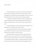 Ondas de Sonido