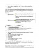 ORGANOS DE LAS RELACIONES INTERNACIONALES