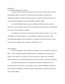 La visión individualista de la economía