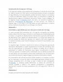 Introducción de la empresa Li & Fung