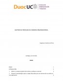 GESTION DE PROCESOS DE CAMBIOS ORGANIZACIONAL