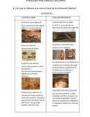 Diferencias cultura Caral y civilización Moche