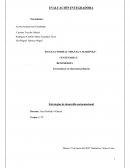 Estrategias de desarrollo socioemocional