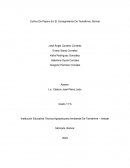 Cultivo De Pepino En El Corregimiento De Tierrafirme, Bolívar