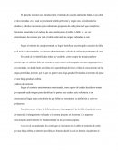 FALLA CABLE TECLE 2 TONELADAS