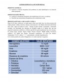 Alteraciones en la función renal