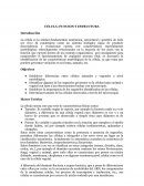 CÉLULA: FUNCION Y ESTRUCTURA