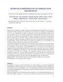 ESTUDIO DE LA RESISTENCIA DE LOS LADRILLOS CON ADICIÓN DE PET