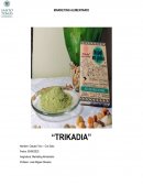 Trikadia Modelo Canvas