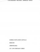 QUE ES LA CRIMINOLOGIA, CONCEPTOS DE CRIMINOLGIA