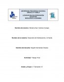 Desarrollo del adolescente y el adulto