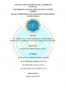 ENSAYO DE COMO LA PANDEMIA HA CAMBIADO NUESTROS HÁBITOS DE CONSUMO