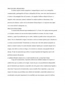 PROCESO PRE-OPERATORIO