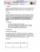 PROCEDIMIENTO: TRABAJOS EN CALIENTE