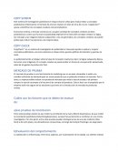 COPYSCREEN EN LOS NEGOCIOS