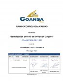 PROYECTO: “Estabilización del PAD de Lixiviación Cuajone”