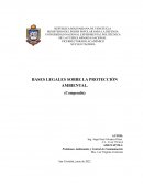 Problemas Ambientales y Control de Contaminación