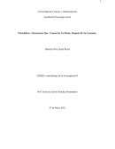 Psicodélicos: Afectaciones Que Causan En La Mente, Después De Su Consumo