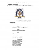 Los procesos de negocios en las organizaciones