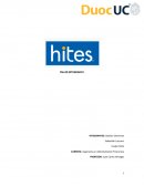 Administración Financiera Empresa Hites