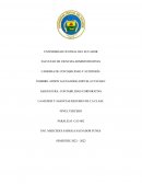 LA MATRIZ Y AGENCIAS RESUMEN DE LA CLASE