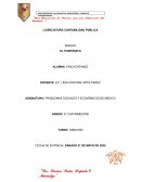 PROBLEMAS SOCIALES Y ECONÓMICOS DE MÉXICO