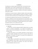 Ensayo Gelificantes