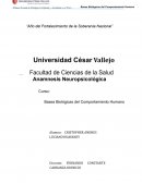 Anamnesis Neuropsicológica