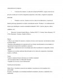 Antedecedentes de una empresa