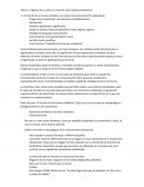 Tema 1: orígenes de la cultura y la acción comunicativa audiovisual