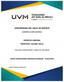 CALCULO LIQUIDACIÓN Y TABLA DE SALARIOS