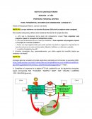 FOTOSÍNTESIS, UN EJEMPLO DE ANABOLISMO | UNIDAD N°1