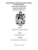 Sistemas adhesivos en odontología restauradora