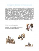 IDENTIFICACIÓN DE CONECTORES Y ADAPTADORES HIDRÁULICOS