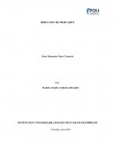 DIRECCION DE MERCADEO