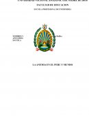 Monografia de anemia